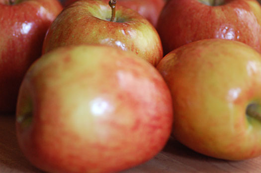 AppleButter6
